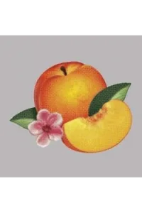 Phoenix - Bankrupt! CD - omot