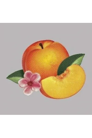 Phoenix - Bankrupt! CD - omot