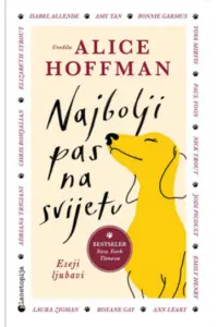 Najbolji pas na svijetu - naslovnica