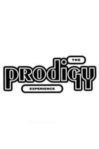 The Prodigy - Experience LP - omot