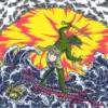 King Gizzard and The Lizard Wizard - Teenage Gizzard CD - omot