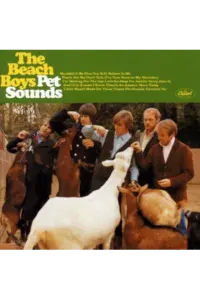 The Beach Boys - Pet Sounds CD - omot