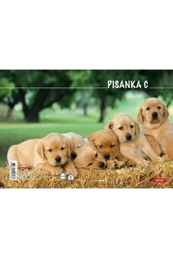 Pisanka C Životinje 21613 - slika proizvoda
