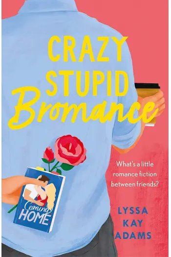 Crazy Stupid Bromance - naslovnica
