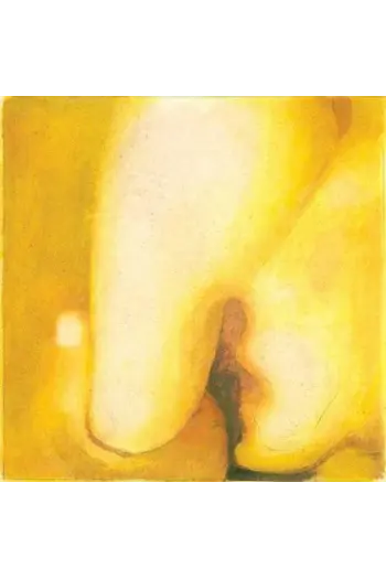The Smashing Pumpkins - Pisces Iscariot (2012 Remastered Ltd. Edt.) LP - omot
