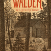The Illustrated Walden: or, Life in the Woods - naslovnica