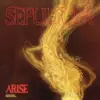 Sepultura - Arise: Rough Mixes LP - omot