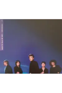 Brigitte Calls Me Baby - Irreversible CD - omot