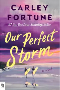 Our Perfect Storm - naslovnica