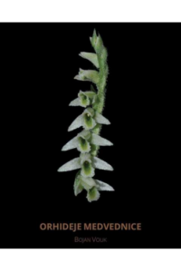 Orhideje Medvednice - naslovnica