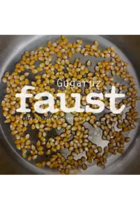 Faust - Gugaruz (Curated By Zappi W. Diermaier) LP - omot