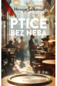 Ptice bez neba - naslovnica