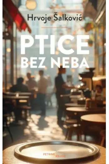 Ptice bez neba - naslovnica