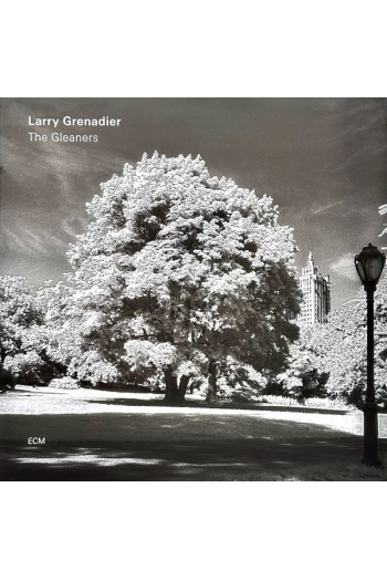 Larry Grenadier - Gleaners LP - omot
