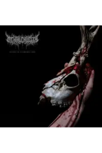 Mental Cruelty - Echoes of a Forlorn Land CD - omot