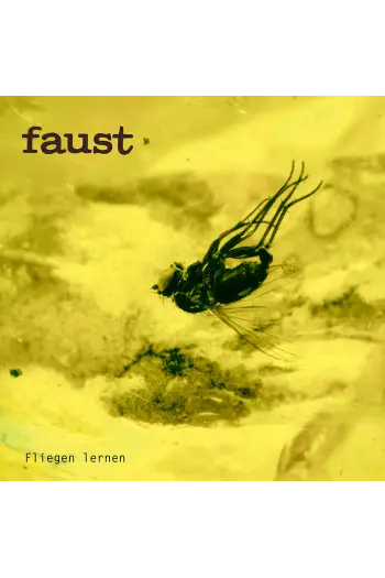 Faust - Fliegen Lernen (Curated By Gunther Wusthoff ) CD - omot