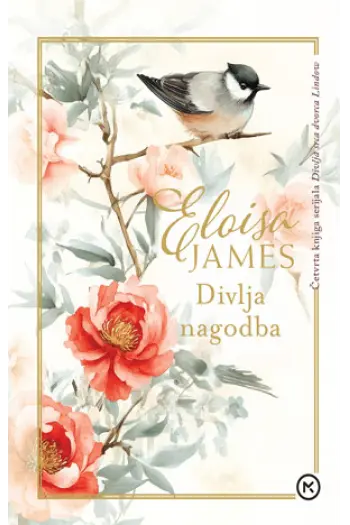 Divlja nagodba - naslovnica