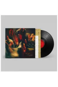 Queens of the Stone Age - Perfecth LP - omot
